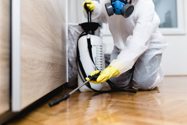 Best Termite Control Services  in Seaside, OR