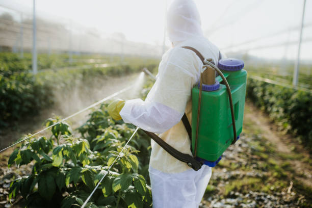 Best Commercial Pest Control Services  in Seaside, OR